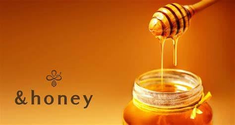 &amp Honey Deep Moist Hair Oil 3.0 100ml 2 Packs with Hair tie