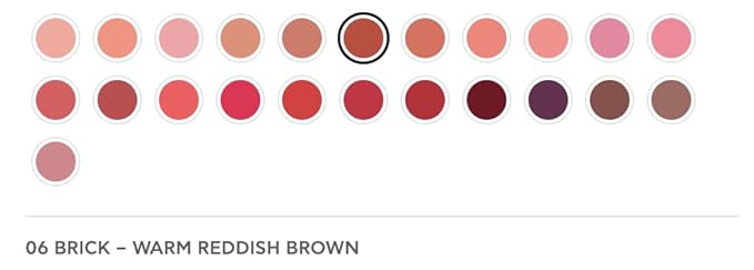 Radiant Professional Advanced Care Lipstick - Ultra Nourishing Moisturizing Long Lasting Matte Lipstick With Vitamin E- UVA UVB Filters For Sun Protection- VELVET (06 BRICK ? WARM REDDISH BROWN)
