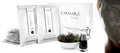 Casmara Premium Quality Algae Peel Off Facial Masks 4.26 Ounce/mask Gel(3.38 Oz)/Mask Powder(0.88 Oz) (reaffirming)