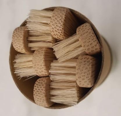 Gaia Guy Natural Bristle Bamboo Toothbrush (NO Nylon - Boar Hair ONLY) - Totally Compostable &amp Biodegradable Boar Bristle and Bamboo Toothbrushes - Zero Waste - 6-Pack