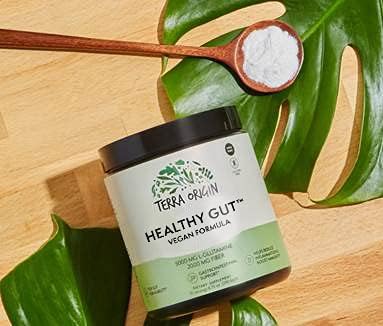 Healthy Gut Vegan Formula | with L-Glutamine and Clinically Proven ingrediens | Supports Gut Permeability gastrointestinal Support Helps Alleviate Stomach discomfort and Boost Immunity*