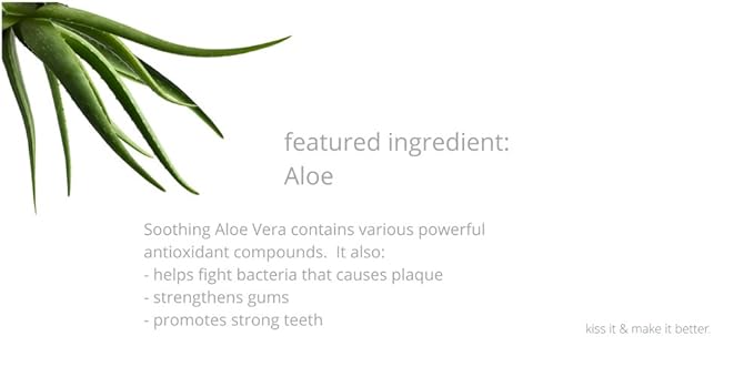 Kiss My Face Gel Teeth Whitening Fluoride Free Toothpaste (Pack of 3) Tea Tree 13.5 Ounce (2434503EAF)