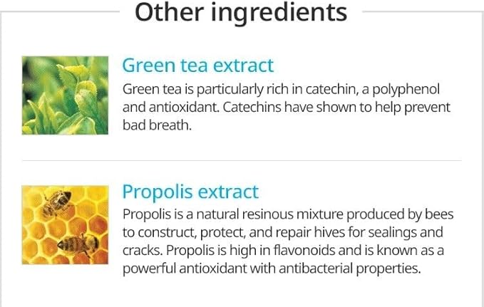 Atomy Toothpaste Propolis 5-Pack (5 x 7.05 oz)