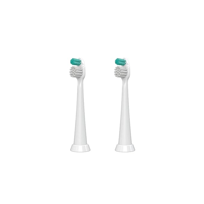TAO Clean Sonic Electric Toothbrush Replacement Heads (2-Pack) ? Orthodontic Head ? Replacement Heads for the TAO Clean Electric Toothbrush and Docking Station