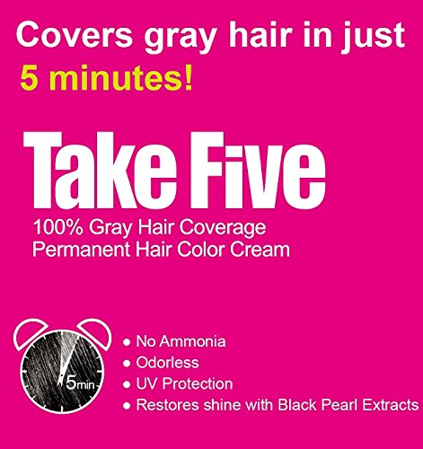 Dongsung Take 5 Hair Dye No.6 Dark Brown Covers Gray Hair in Just 5 Minutes Without Any Foul Odor! Designed to Improve Damaged Hair (Pack of 12)