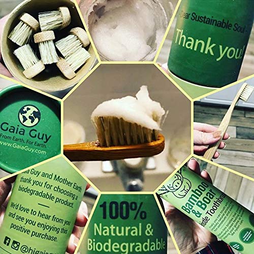 Gaia Guy Natural Bristle Bamboo Toothbrush (NO Nylon - Boar Hair ONLY) - Totally Compostable &amp Biodegradable Boar Bristle and Bamboo Toothbrushes - Zero Waste - 6-Pack