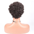 short curly afro wig Women's African fake curly hair Women's fake curly hair Curly Wigs for Black Women Fashion Short Afro Curly Wig