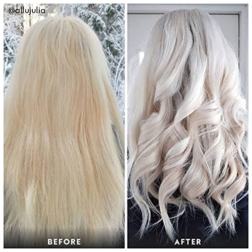 Four Reasons Original Takeaway Color - Ice Ice Blondy ? 10.01 Bright Ash Blonde - Demi-Permanent Hair Color - Ammonia-Free and Fragrance-Free Hair Dye - 100% Vegan &amp Cruelty Free
