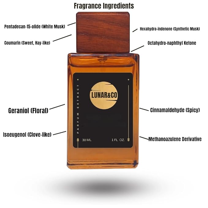 L?™IMAGINACION COLOGNE FOR MEN INSPIRED BY .IMAG.INA.TION EAU DE PERFUM 10ML TRAVEL SPRAY