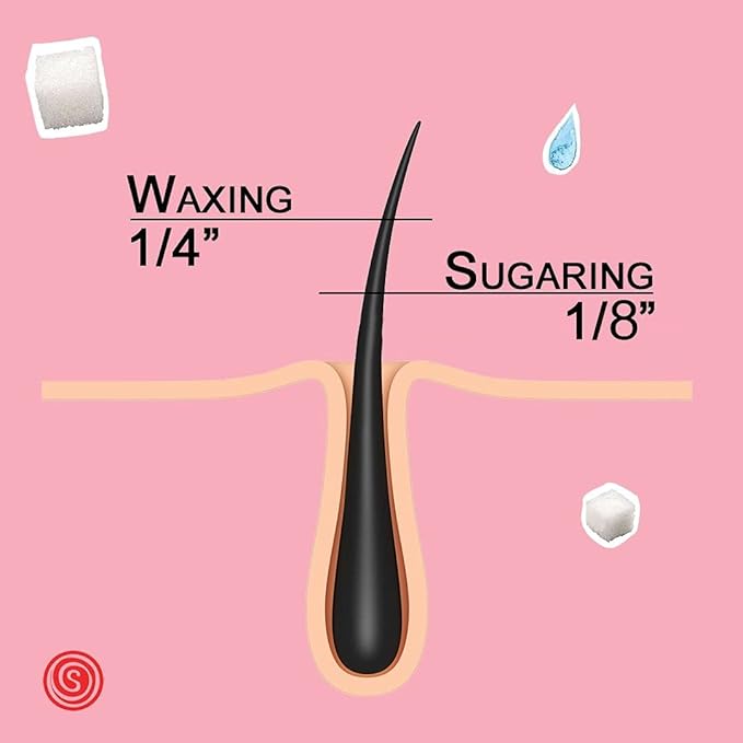 Paste for Bikini Legs Brazilian Arms and Back - 12oz by Sugaring NYC