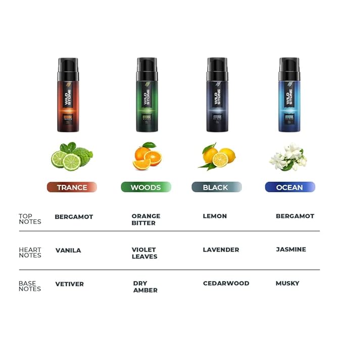 Wild Stone CODE Travel Pack with Iridium Titanium Steel and Copper Perfume Body Spray for Men Pack of 4 (40ml each) | Gift Set for Men