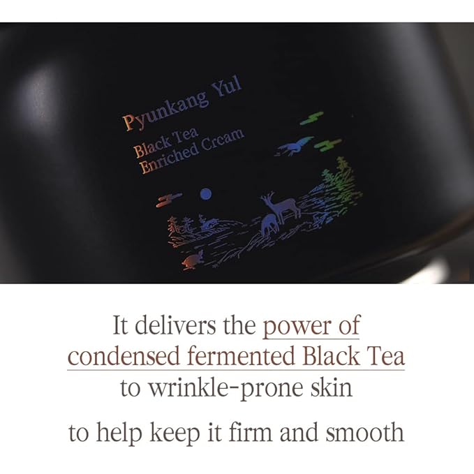Pyunkang Yul [PKY] Black Tea Enriched Cream for Anti-aging Condensed Nutrition for Fine Line Care with Kombucha Ginseng Extract Zero-Irritation Korean Skincare (2.02 Fl. Oz 60ml)