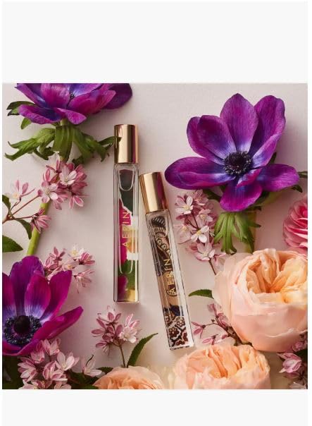 AERIN Amber Musk &amp Cedar Violet Essentials Gift Set