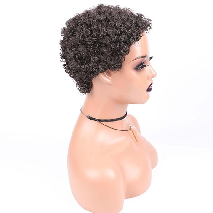 short curly afro wig Women's African fake curly hair Women's fake curly hair Curly Wigs for Black Women Fashion Short Afro Curly Wig