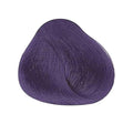 ALFPAF - Evolution of the Color ? Professional Permanent Hair Color Cream with Hyaluronic Acid &amp Advanced Pigment Technology ? Long-Lasting PPD-Free Color ? 2.05 oz / 60 g (8.642 Violet Blonde)