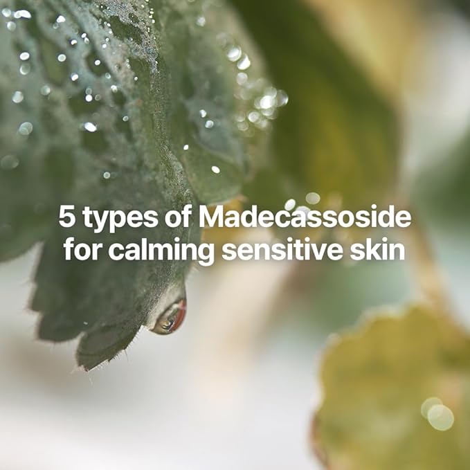 Pyunkang Yul Calming Line Gift Box Set-Korean Facial Skin Care Essential for Daily Moisturizing with Toner Serum Cream Vegan &amp Cruelty Free Stocking Stuffer Christmas Holiday New Year gift set