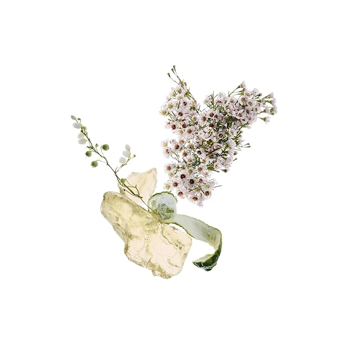 Zara Amber Fusion Perfume for Women EDP Eau De Parfum 30 ML (1.0 FL. OZ)