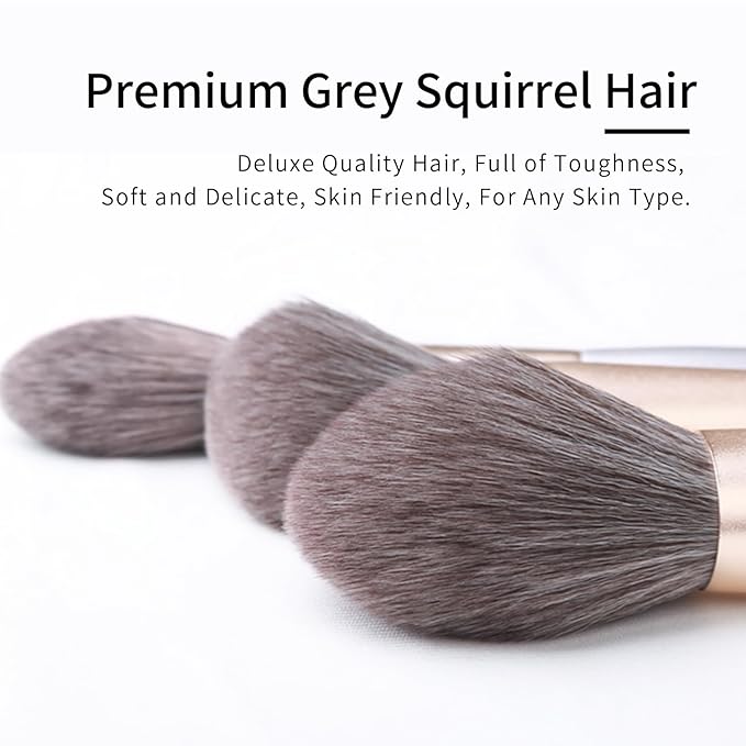 Natural Hair Makeup Brushes Set Professional Grey Squirrel Hair Makeup Brush Set with Case Unique Cosmetic Brushes Makeup Set Natural Makeup Brushes Natural Bristle Makeup Brushes -Silver