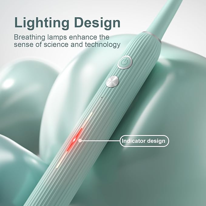 Rechargeable Sonic Toothbrush with Drying Holder 8 Brush Heads Smart Timer Waterproof Design ? Mint Green Edition