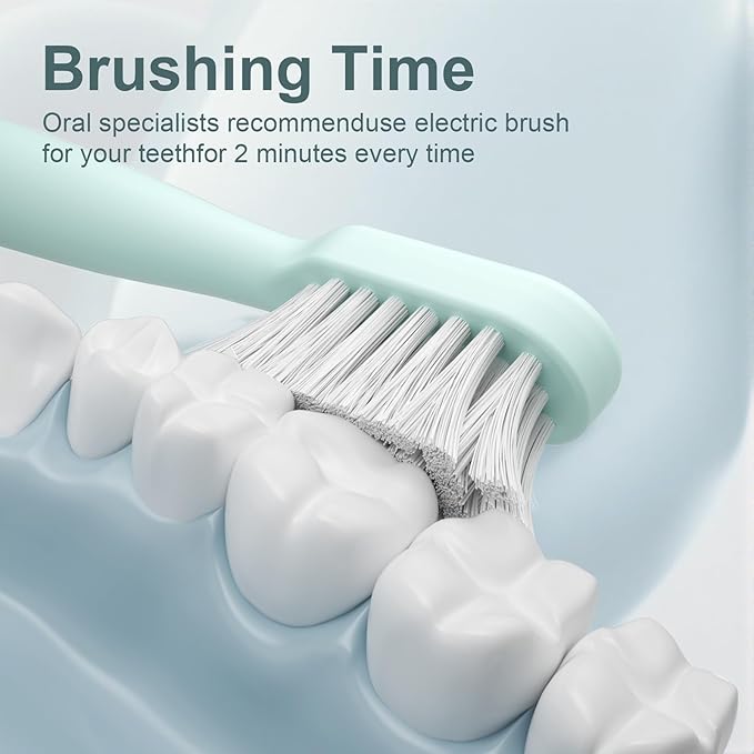 Rechargeable Sonic Toothbrush with Drying Holder 8 Brush Heads Smart Timer Waterproof Design ? Mint Green Edition