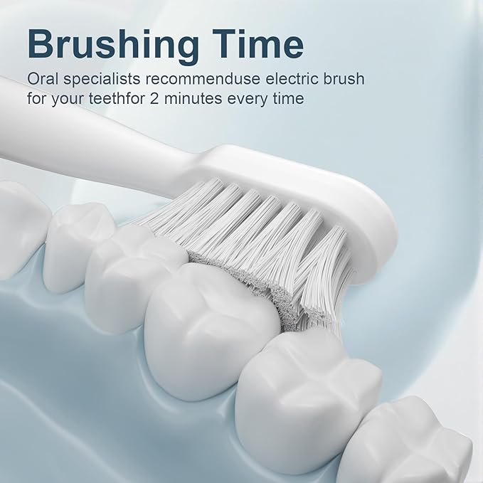 Electric Toothbrush Set with Drying &amp Sanitizing Holder 8 Replacement Brush Heads Transparent Rinse Cup Smart Timer USB Rechargeable for Adults