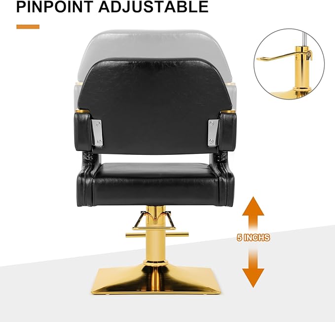 Artist hand Barber Salon Chair Hair Stylist Chair with Heavy Duty Hydraulic Pump 360 Degree Swivel Spa Beauty Equipment Max Load Weight 330 Lbs Black and Gold