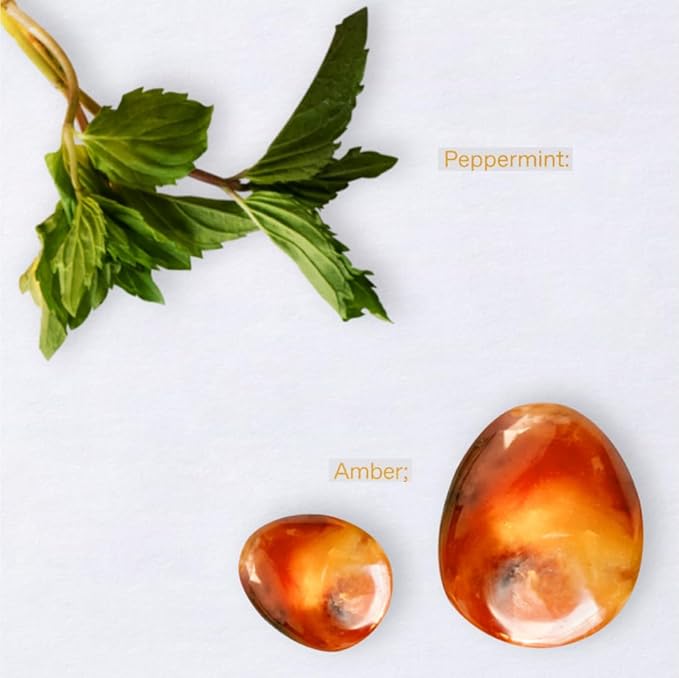 KORRES Eau de Toilette Oceanic Amber Fragrance Spray Unisex Perfume with Amber Peppermint Cardamom Cedar &amp Black Pepper Apple Blossom Accents Fougere-Ambery Scent for Women and Men 1.69 Fl