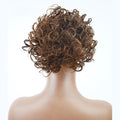 Hair Accessories Ladies Fashion Wig Fluffy Curly Hair Bun Short Curly Hair Comb Ball Head Ponytail Hair Extension Synthetic Hair Bun Hair Pieces For Women(11)