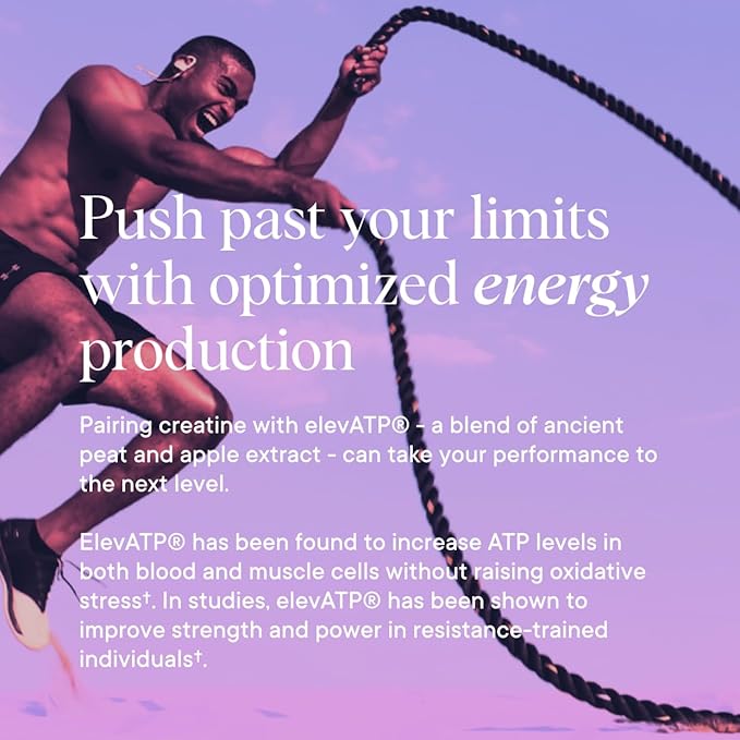 Ora Organic Creatine Monohydrate Powder World's Most Advanced Micronized Creatine Monohydrate for Outstanding Strength Energy and Recovery for Women &amp Men Acai Berry Flavor 5g per Serving