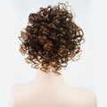 Hair Accessories Ladies Fashion Wig Fluffy Curly Hair Bun Short Curly Hair Comb Ball Head Ponytail Hair Extension Synthetic Hair Bun Hair Pieces For Women(10)