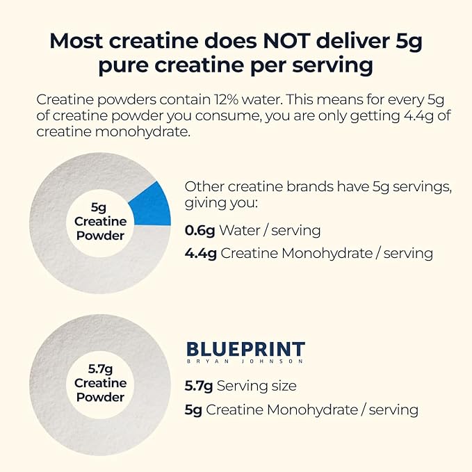Blueprint Bryan Johnson Creatine Monohydrate Powder ? Amino Acid Powder - Supplement Supports Muscle Growth Recovery Strength &amp Focus ? Unflavored Creatine for Women &amp Men ? 5g Dose ? 100 Se