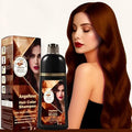Hair Dye Shampoo 3 in 1 Instant Herb Ingrident Hair Dye to Cover Gray Hair Long-lasting &amp Natual Chestnut Brown 400 ML