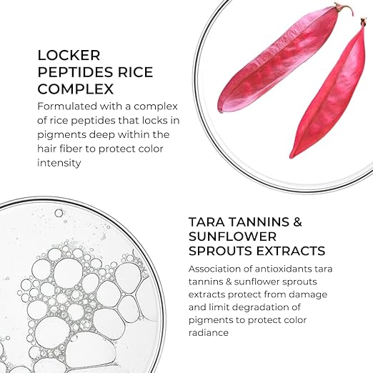 PHYTO Phytocolor Color Protecting Mask