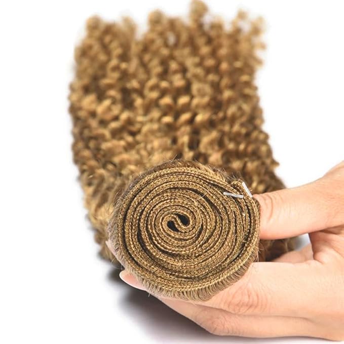 26 28 30 inch #27 Human Hair Bundles Honey Blonde Kinky Curly Bundles LadrXadr Blonde Wet and Wavy Bundle 27 Color