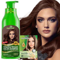 Herbishh Hair Color Shampoo for Gray Hair ? Natural Hair Dye Shampoo ? Colors Hair in Minutes ? Lasts Up To 3-4 Weeks ? 500 Ml ? 3-In-1 Hair Color ? Ammonia-Free | Herbishh (Chestnut Brown)