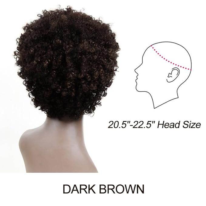Style Icon Afro 5 Short Curly Wigs 100% Brazilian Hair Natural Spiral Curls - Afro Wigs for Black Women-Human Hair Wigs-Short Capless Wigs
