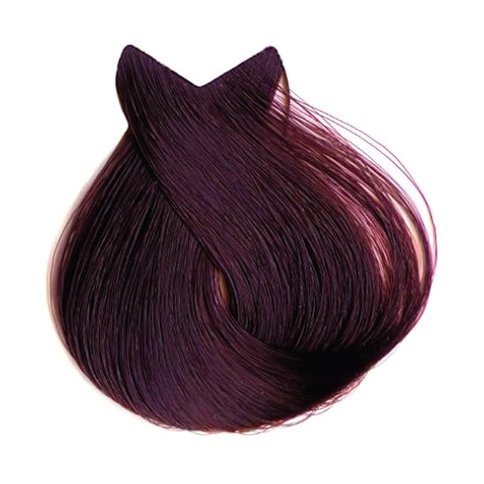 Tahe Lumiere Express Permanent Hair Color Cream 100ml (4.67 Medium Red Violet Brown 100ml)