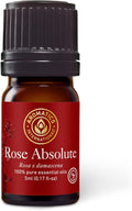 Aromatics International Premium Organic Rose Absolute Essential Oil 5ml | 100% Pure Essential Oil for Diffusion &amp Aromatherapy