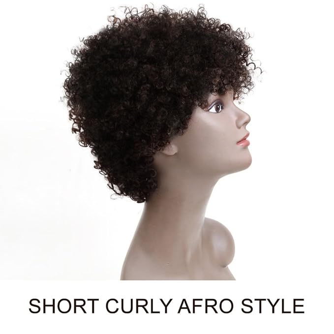 Style Icon Afro 5 Short Curly Wigs 100% Brazilian Hair Natural Spiral Curls - Afro Wigs for Black Women-Human Hair Wigs-Short Capless Wigs