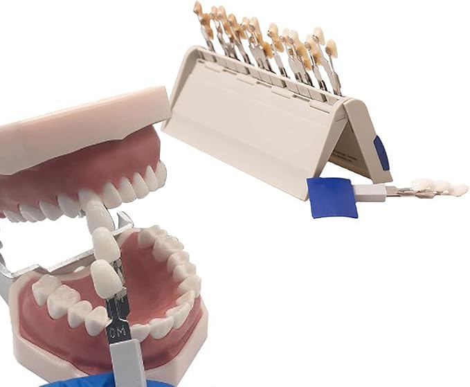 Teeth Whitening Shade Porcelain 29 Colors Set Tooth Bleaching Shade Chart Material Equipment Oral Care