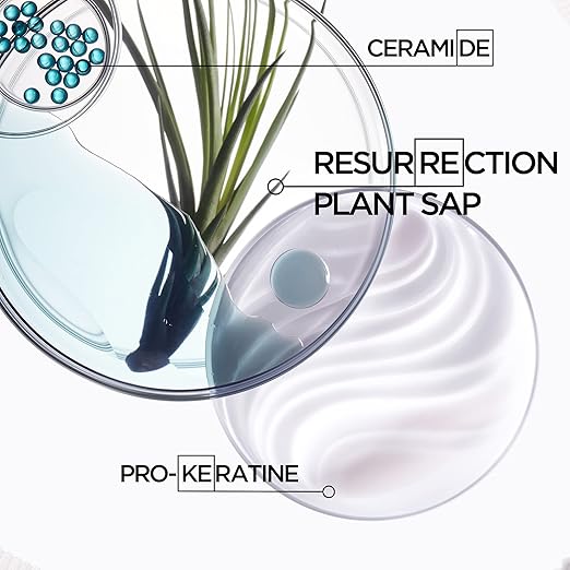 Kerastase Resistance Force Architecte Reconstructing Hair Mask For Dry and Damaged Hair - Strengthens and Prevents Breakage With Ceramides &amp Pro-Keratin Complex