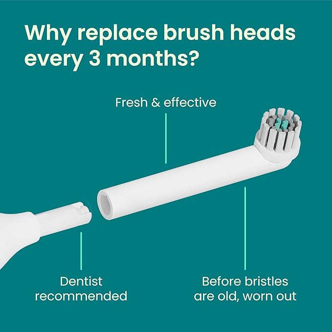 quip Rev 360 Oscillating Electric Toothbrush Heads - 4 Pack - Verified quip Brush Head Refills for Oscillating Toothbrushes - Soft Bristles Dual-Length Compact - Last 3 Months Each - White