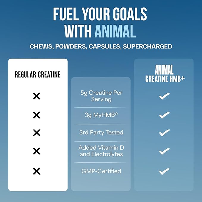 Animal Creatine HMB Powder ? 3g myHMB + 5g Creatine with Electrolytes for Recovery &amp Daily Energy ? Dragon Berry Flavor 30 Servings