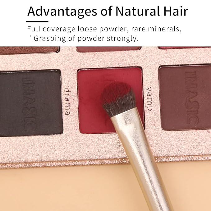 Natural Goat Hair Eye Shadow Brush Set Pony Hair Eyeshadow Brushes Set Small Nose Contour Brush Angled Eyeshadow Brush Eyeshadow Blending Brush Eye Makeup Brushes Set Professional - E200