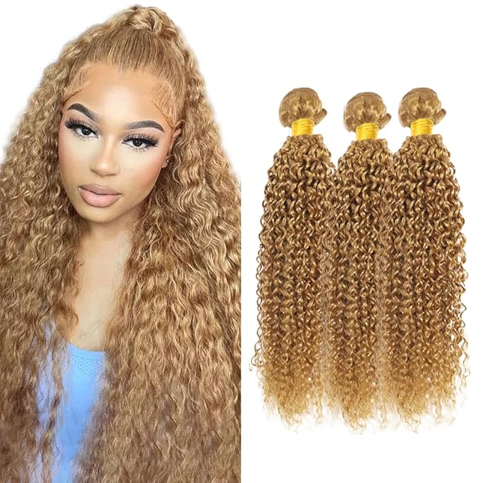26 28 30 inch #27 Human Hair Bundles Honey Blonde Kinky Curly Bundles LadrXadr Blonde Wet and Wavy Bundle 27 Color