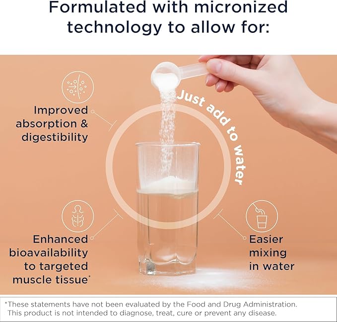 Designs for Health Micronized Creatine Monohydrate Unflavored Powder 90 Servings 5g per Serving ? for Women &amp Men to Support Muscle Strength and Brain Health