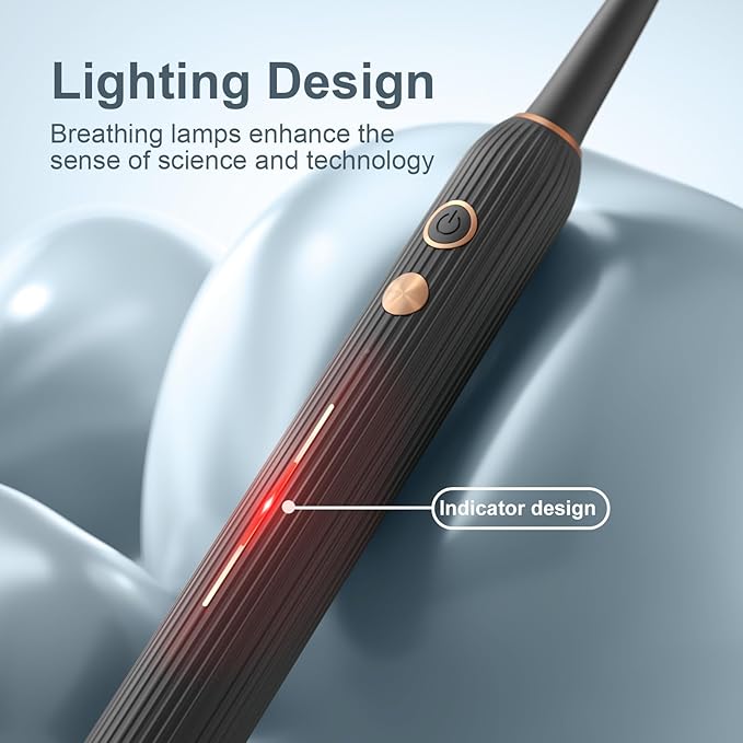 Sonic Electric Toothbrush for Adults with Drying Storage Holder 8 Brush Heads Smart Timer USB Rechargeable Deep Clean Power ? Classic Black Edition