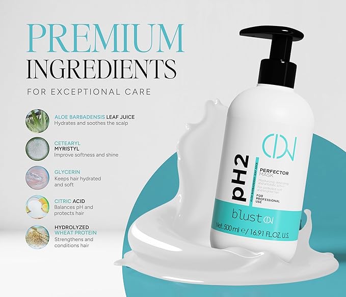 PH2 PERFECT MASK ? Professional Mask for Damaged Hair with Acidic pH 2 ? Hydrating Mask for Dry Hair ? Deep Conditioning Treatment Repair &amp Color Protection ? 500ml