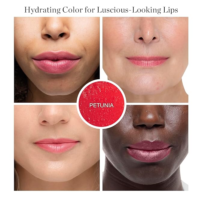Ogee Tinted Sculpted Lip Oil - Lip Stain Made with 100% Organic Coconut Oil Jojoba Oil and Vitamin E - Best as Lip Balm Lip Color or Lip Treatment - PETUNIA (Sheer Blush)