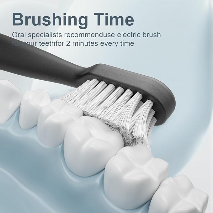 Sonic Electric Toothbrush for Adults with Drying Storage Holder 8 Brush Heads Smart Timer USB Rechargeable Deep Clean Power ? Classic Black Edition